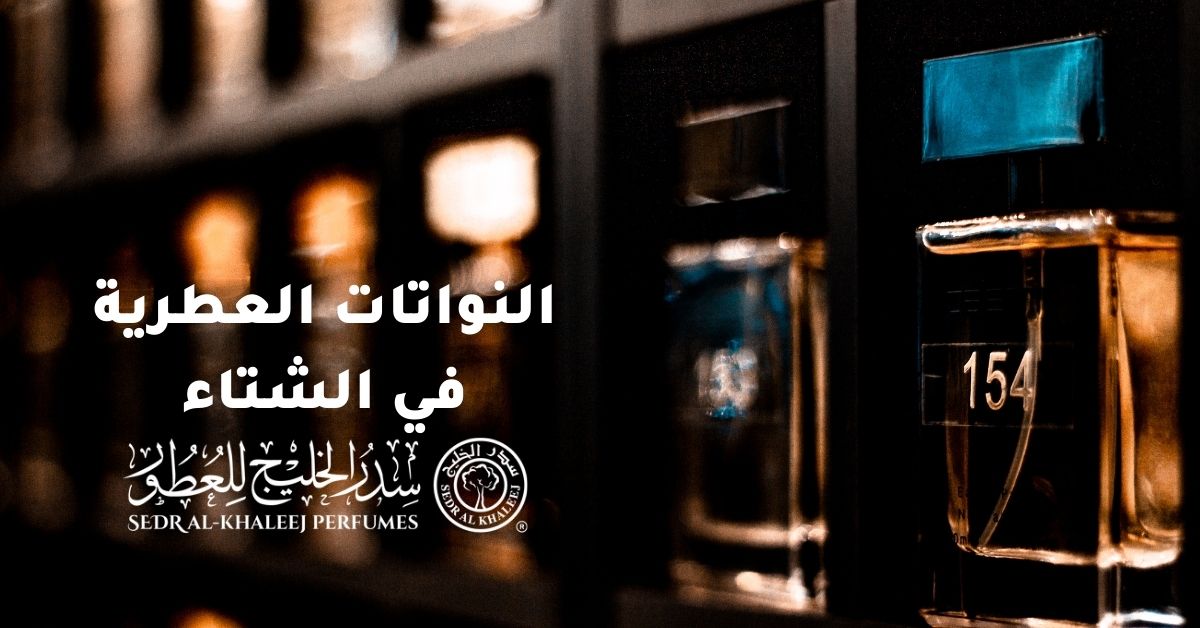 The best aromatic notes for winter