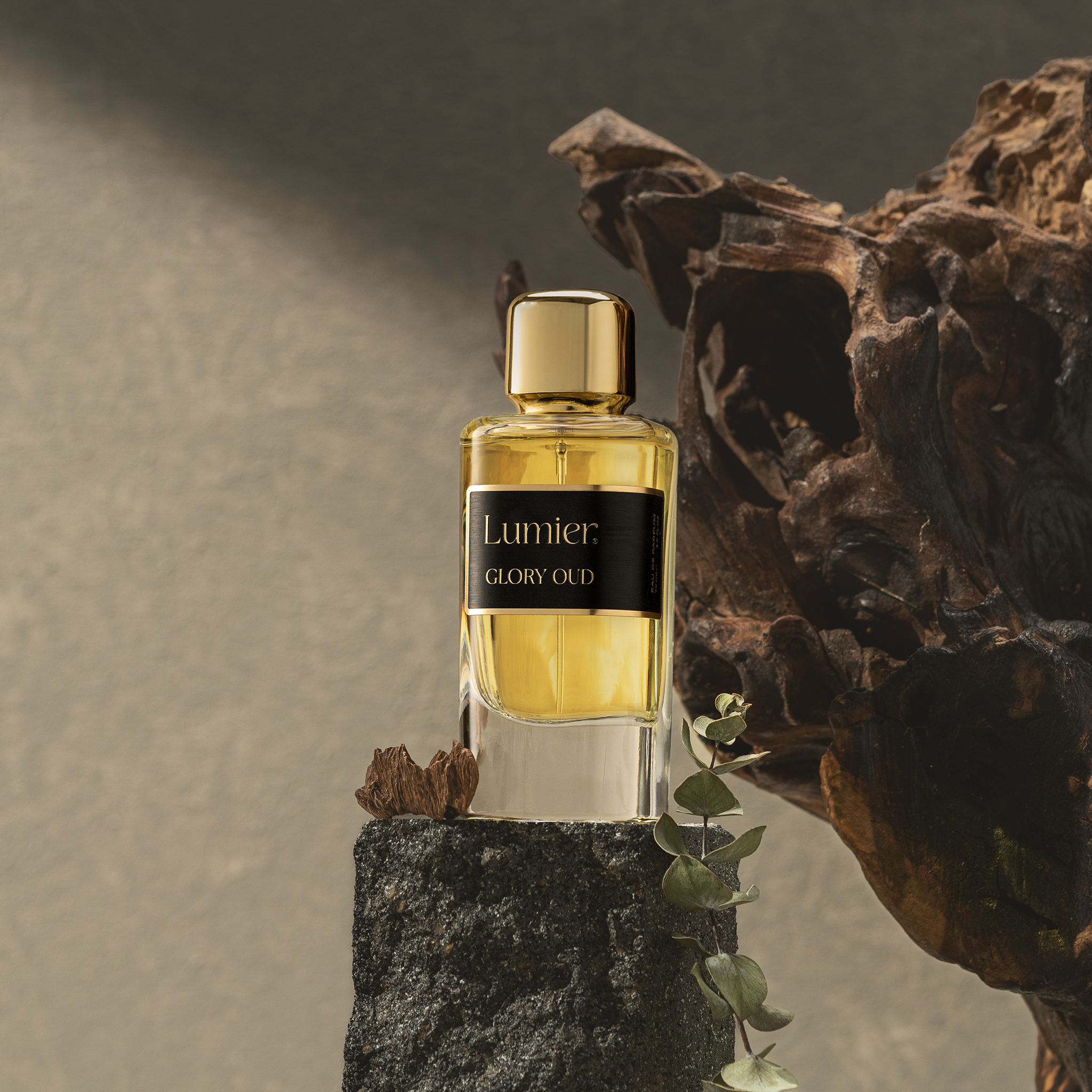 Collection of brilliance - 3 affordable perfumes
