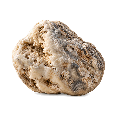 Ambergris
