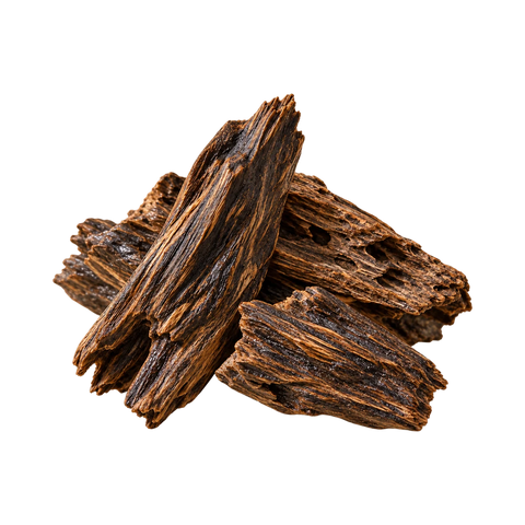 Luxurious oud