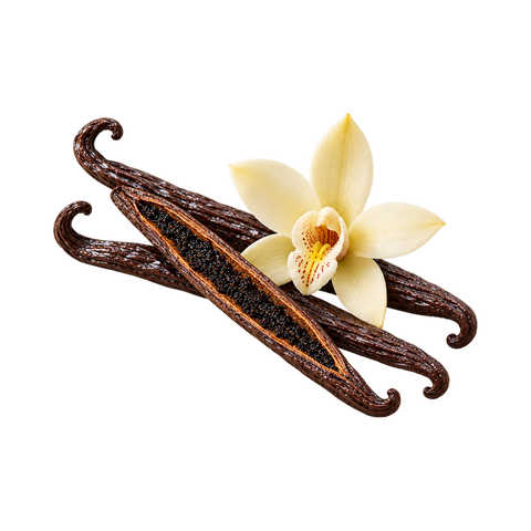 فانيليا