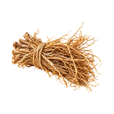 Vetiver